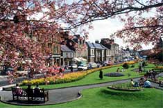 Bank Street Gardens in Full Bloom!